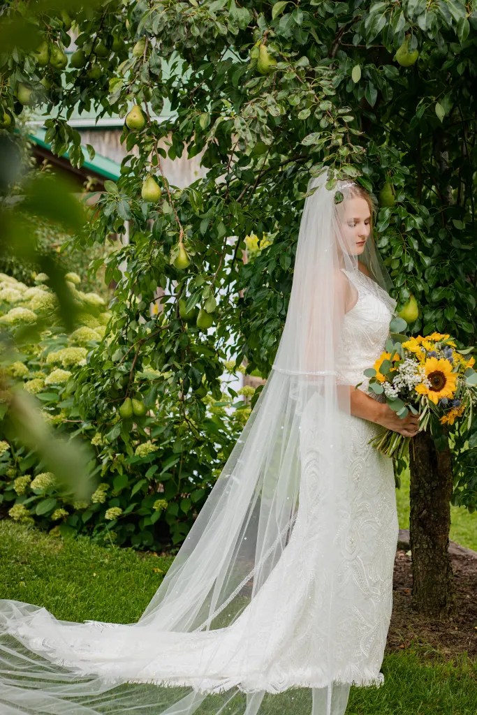Olivia Wilford Photography White Pine Grove Bride in Pear Orchard