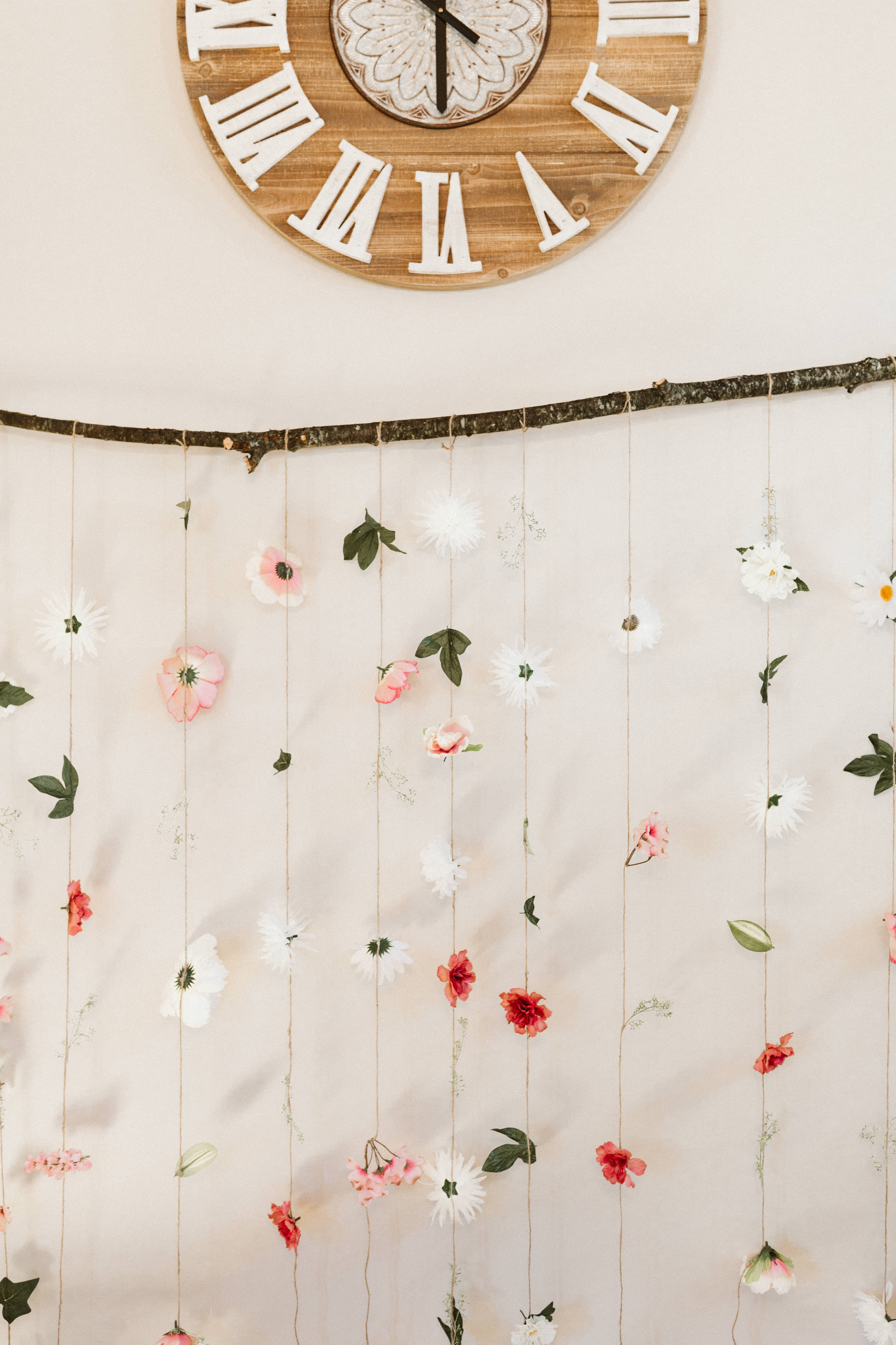 Stephen Schultz Photography - Photo Backdrop at White Pine Grove