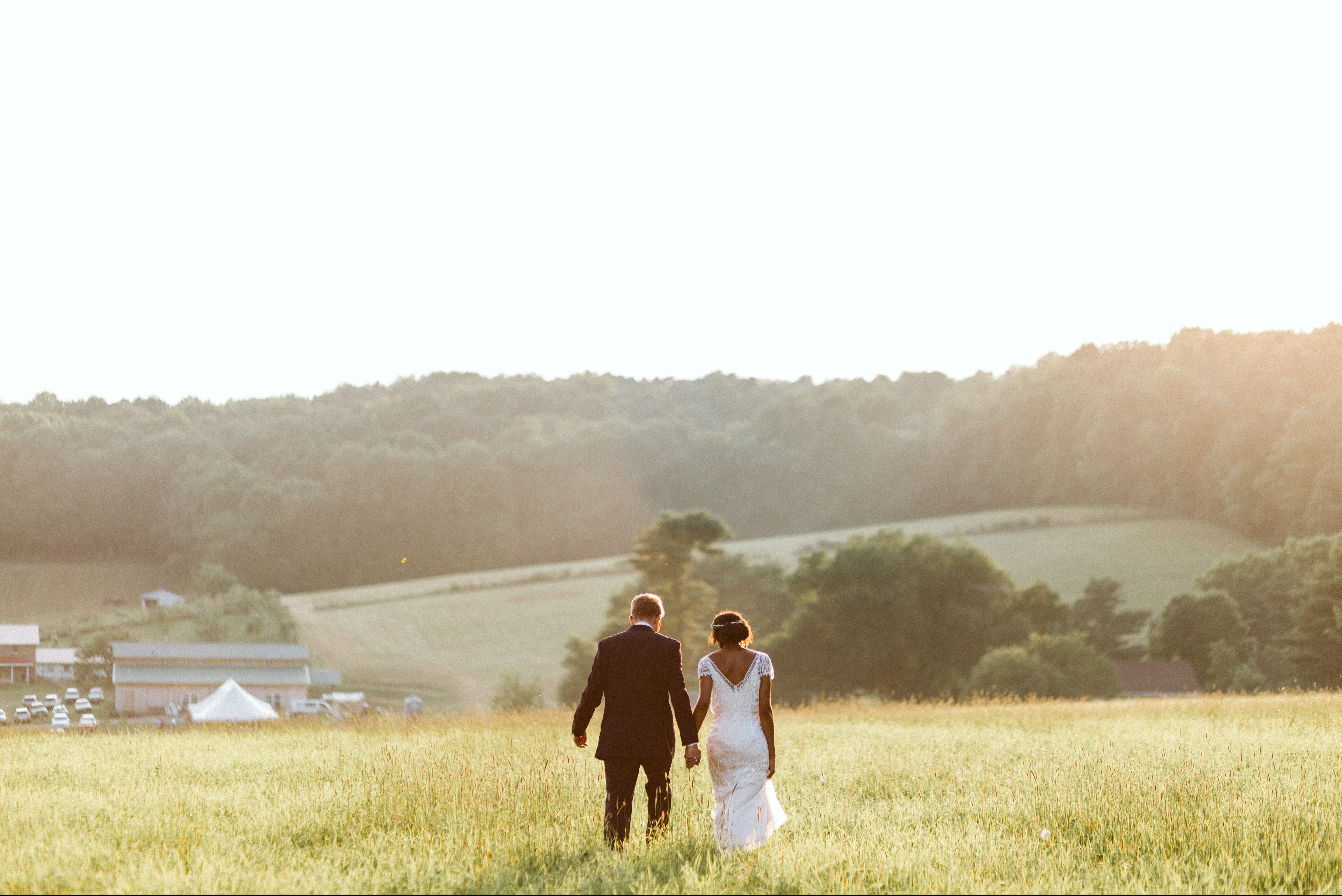 Stephen Schultz Photography White Pine Grove Golden Hour