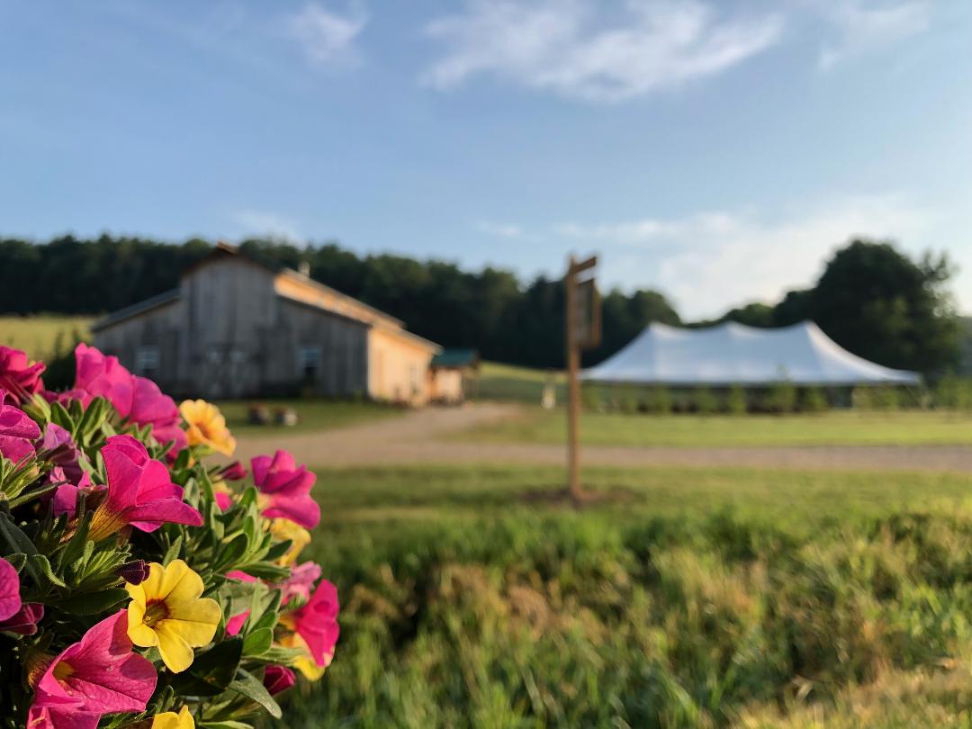 An early morning view of White Pine Grove on the morning of a wedding.