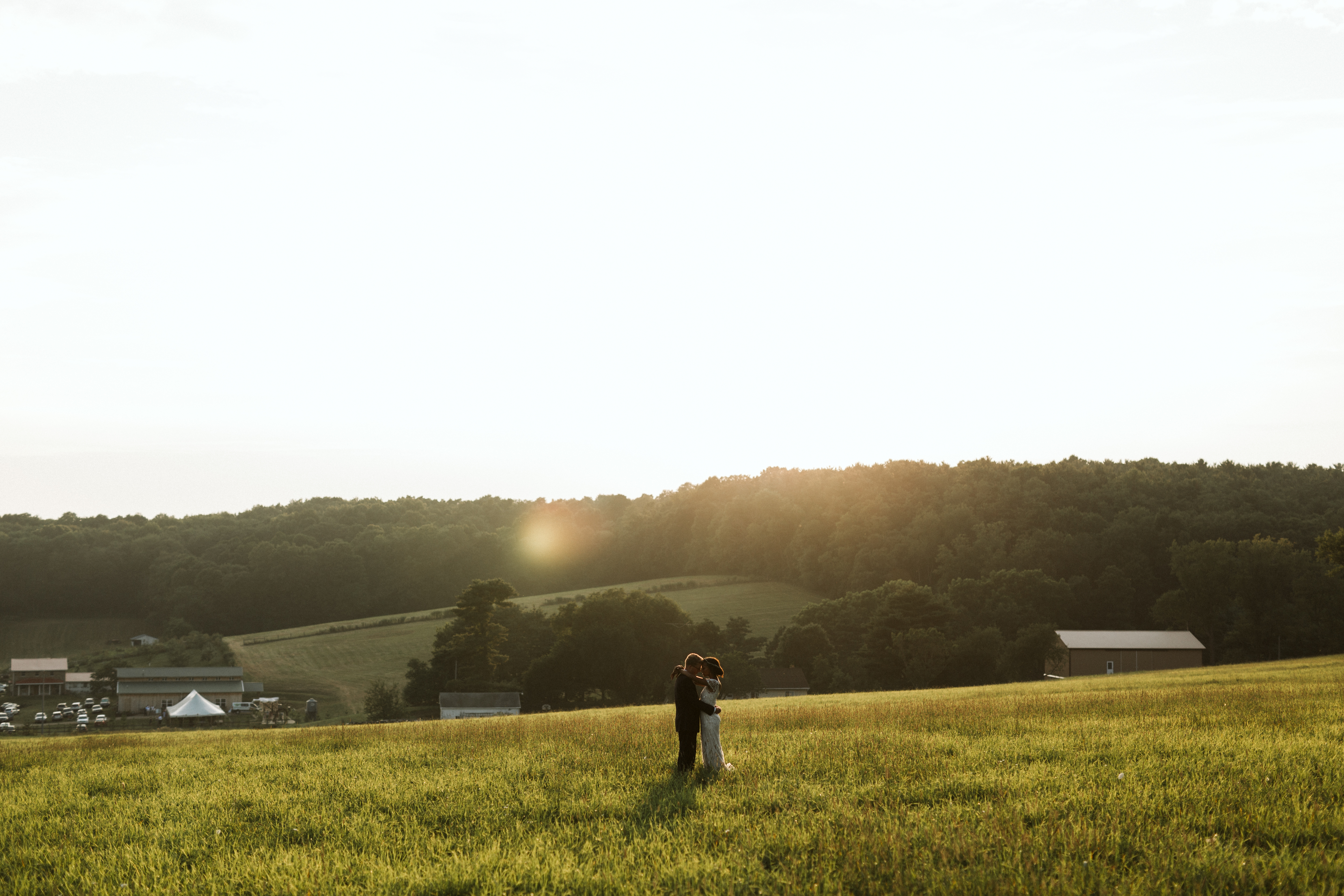 Stephen Schultz Photography White Pine Grove Golden Hour