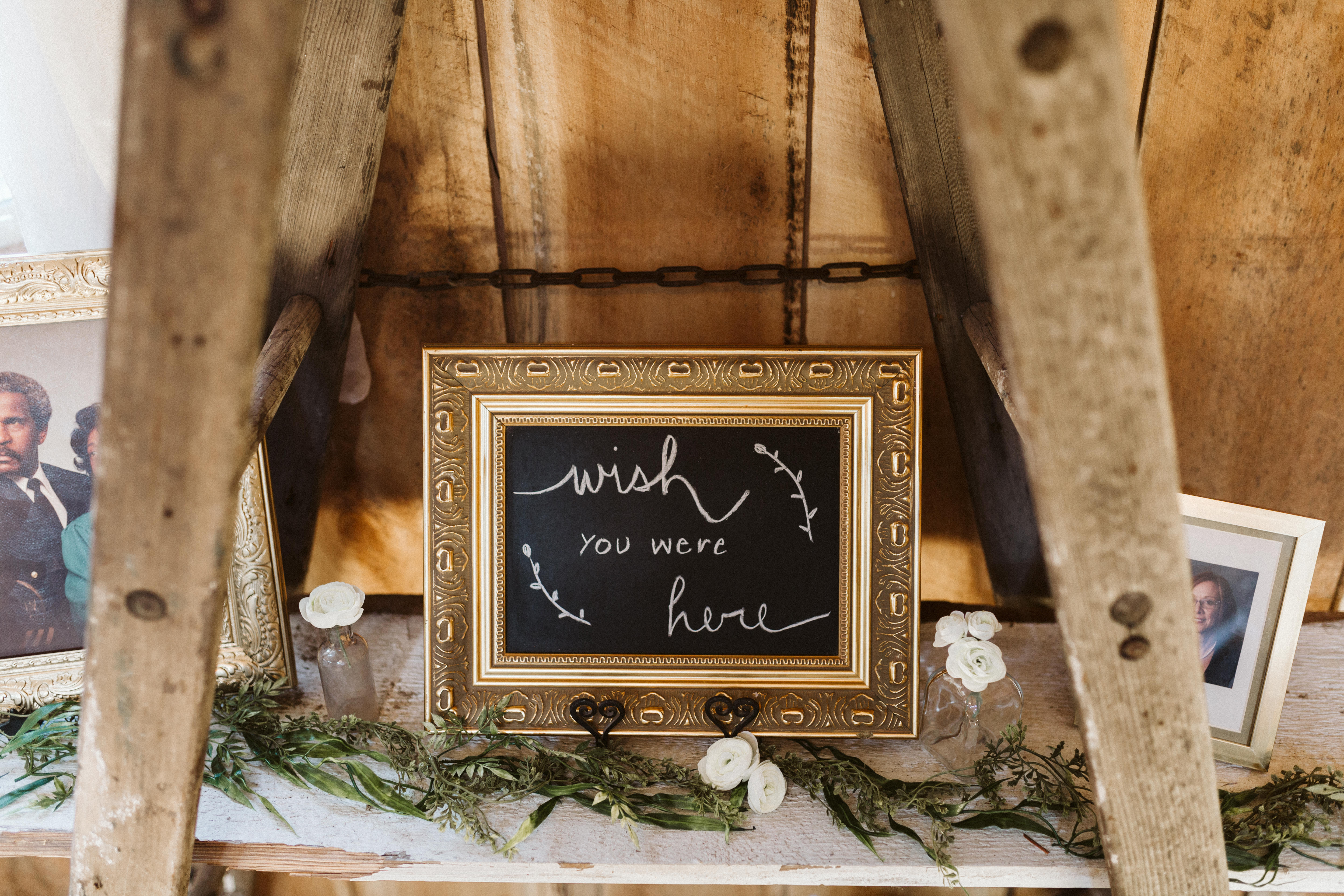 Stephen Schultz Photography White Pine Grove Memory Arch